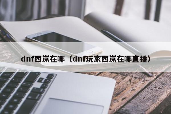 dnf西岚手办_dnf西岚大神