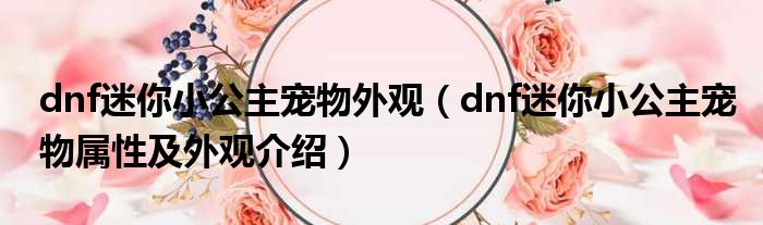 dnf迷你小公主_迷你小公主怎么得